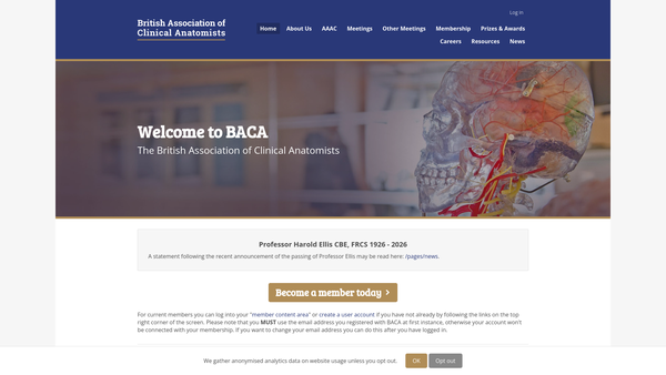Screenshot of the B A C A (2014) Ltd website