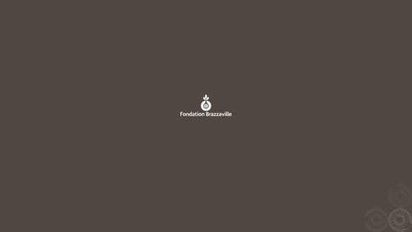 Screenshot of the The Brazzaville Foundation website