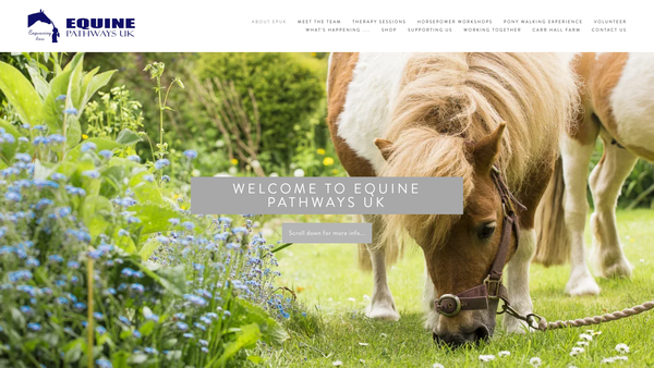Screenshot of the Equine Pathways UK website