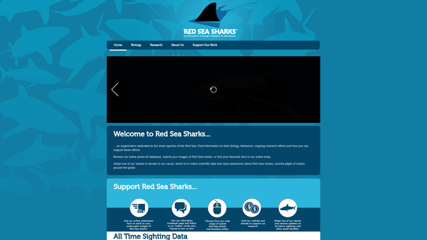 Screenshot of the Red Sea Sharks website