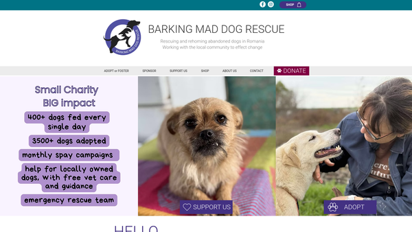 Screenshot of the Barking Mad Dog Rescue website