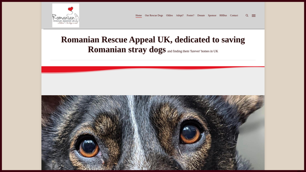 Screenshot of the Romanian Rescue Appeal website