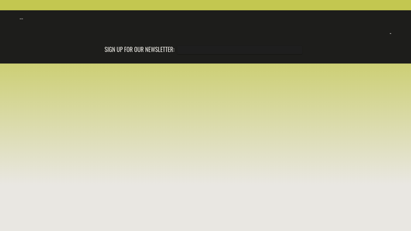 Screenshot of the North East Child Poverty Trust website