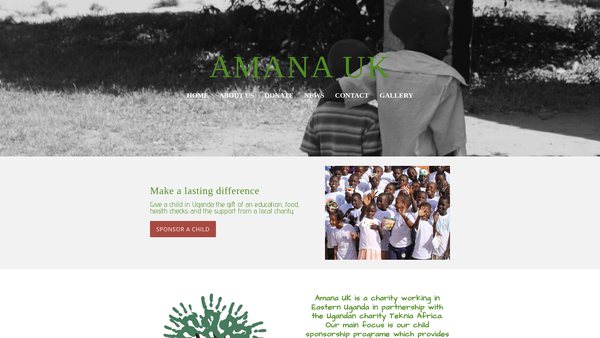Screenshot of the Amana UK website