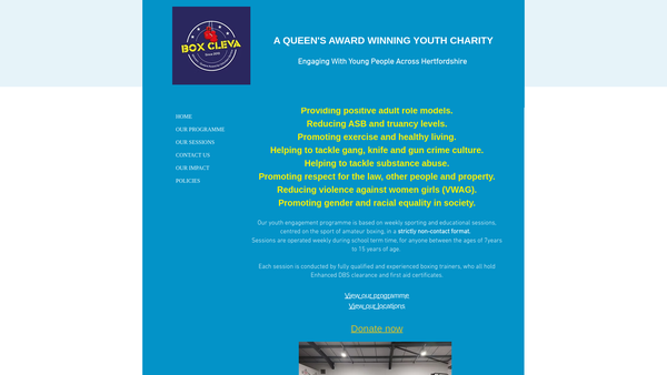 Screenshot of the Box Cleva website