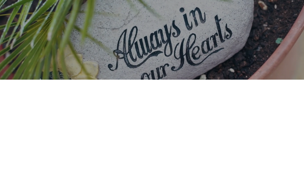 Screenshot of the The Drop In Bereavement Centre website