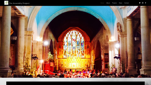 Screenshot of the The Assembly Project website