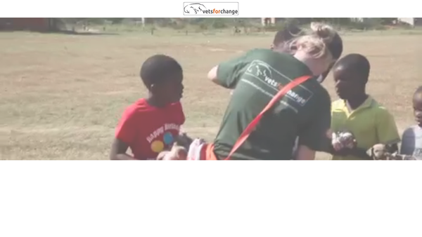 Screenshot of the Vets For Change website