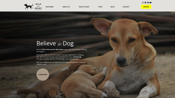Screenshot of the Wild At Heart Foundation website