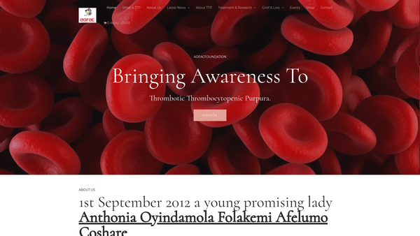 Screenshot of the Anthonia Oyindamola Folakemi Afelumo Coshare Foundation website