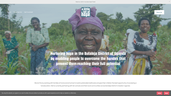 Screenshot of the A Little Bit Of Hope website
