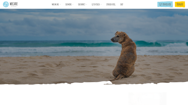 Screenshot of the Wecare Worldwide website
