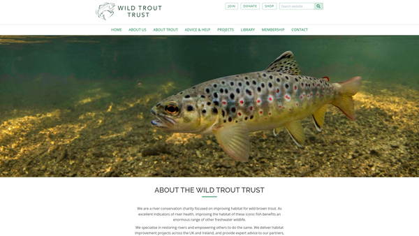 Screenshot of the The Wild Trout Trust Limited website