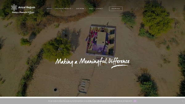 Screenshot of the The Anzal Begum Foundation Limited website