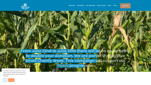 Screenshot of the Mbedza Projects Support website