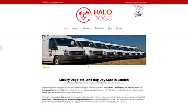 Screenshot of the Halo Dogs Rescue & Rehabilitation website