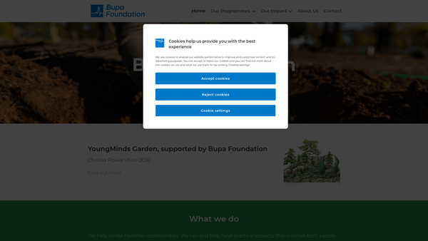 Screenshot of the Bupa Foundation website