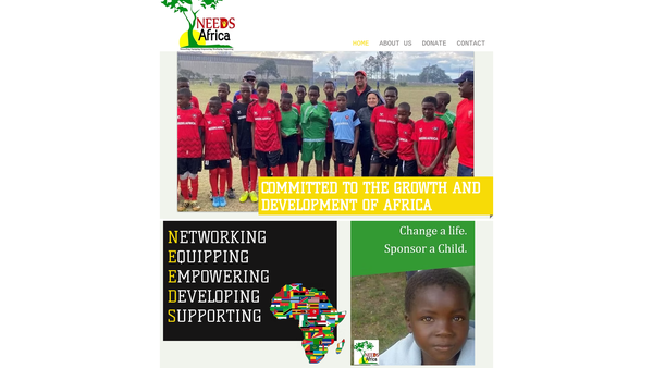 Screenshot of the Needs Africa website