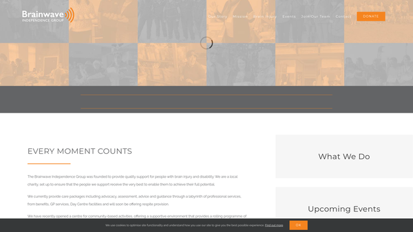 Screenshot of the Brainwave Independence Group website
