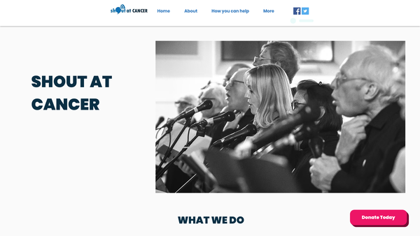 Screenshot of the Shout At Cancer website