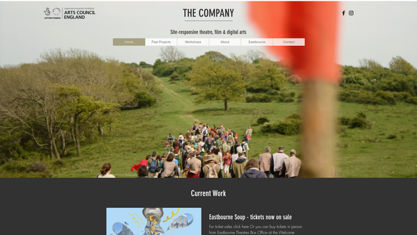 Screenshot of the The Company website
