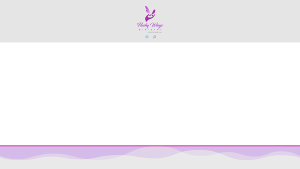 Screenshot of the Flashy Wings Ministry website