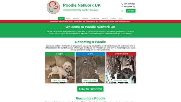 Screenshot of the Poodle Network UK website