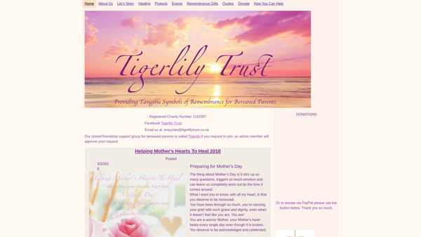 Screenshot of the Tigerlily Trust website