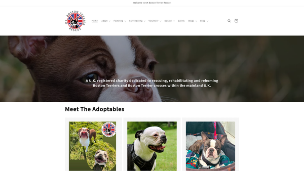 Screenshot of the UK Boston Terrier Rescue website