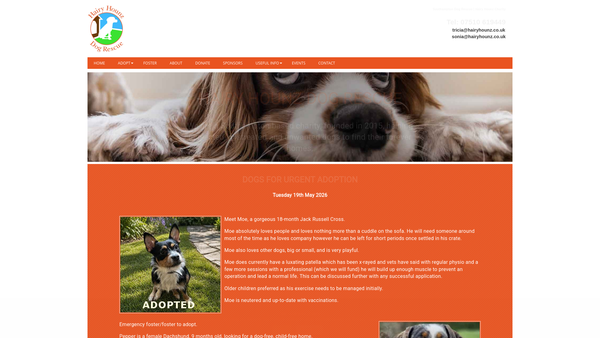 Screenshot of the Hairy Hounz website