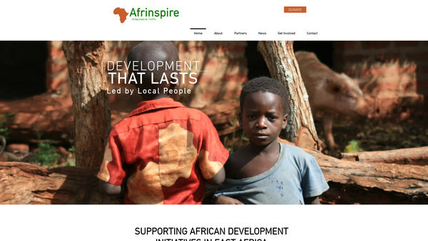 Screenshot of the Afrinspire website