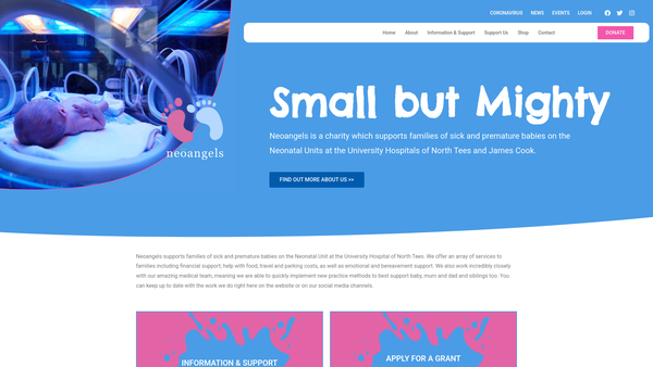 Screenshot of the Neo Angels website