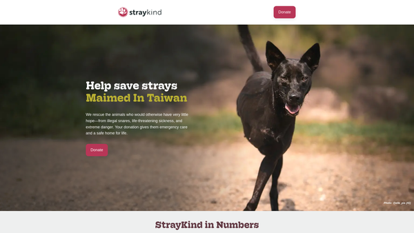 Screenshot of the Straykind website