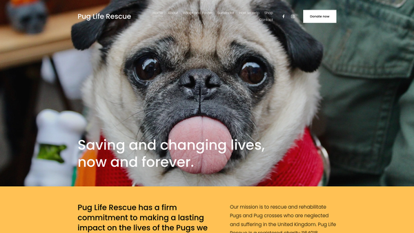 Screenshot of the Pug Life Rescue website