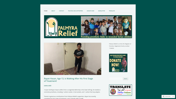 Screenshot of the Palmyra Relief CIO website
