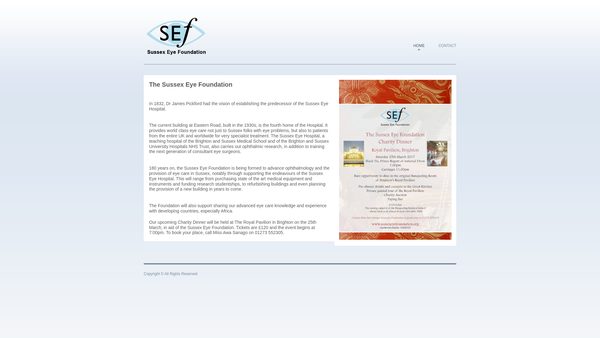 Screenshot of the The Sussex Eye Foundation website