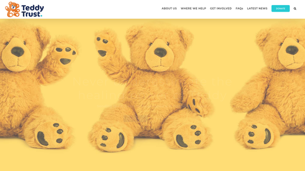 Screenshot of the The Teddy Trust website