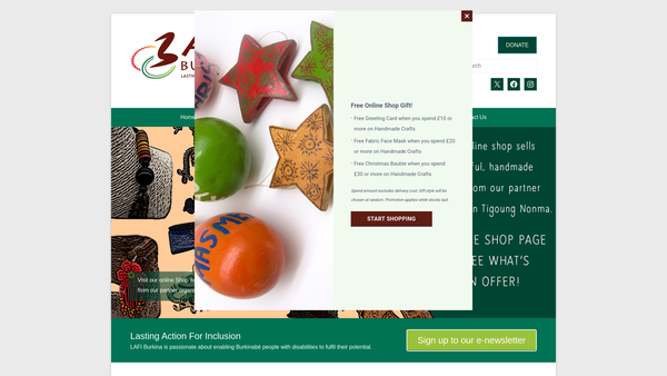 Screenshot of the Lasting Action For Inclusion In Burkina Faso website