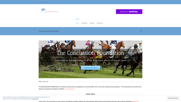 Screenshot of the The Concussion Foundation website