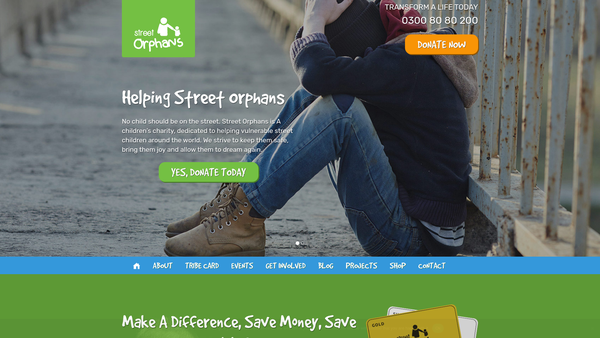 Screenshot of the Street Orphans website