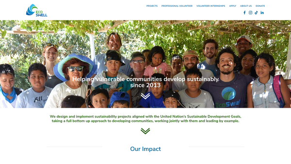 Screenshot of the Ecoswell UK website