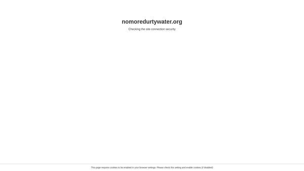 Screenshot of the No More Durty Water website