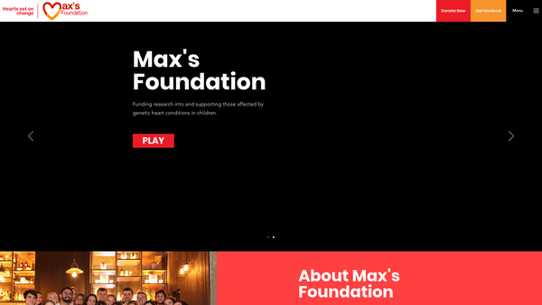 Screenshot of the Max's Foundation CIO website