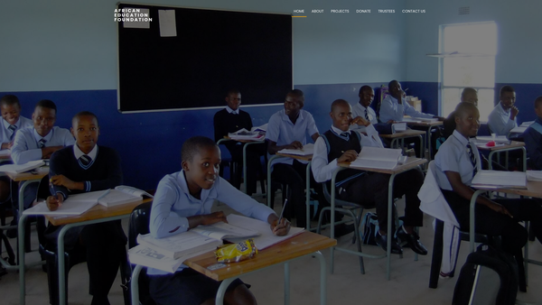 Screenshot of the African Education Foundation website