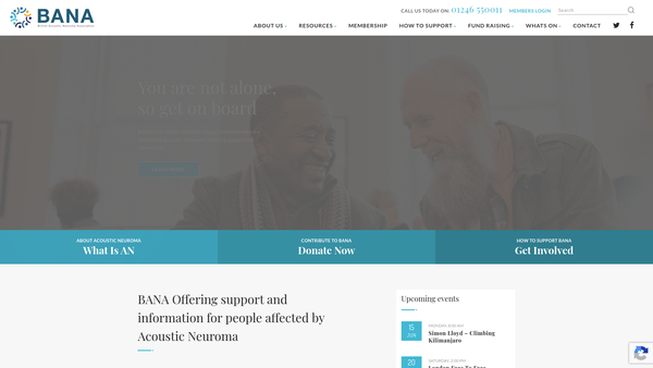 Screenshot of the British Acoustic Neuroma Association CIO website