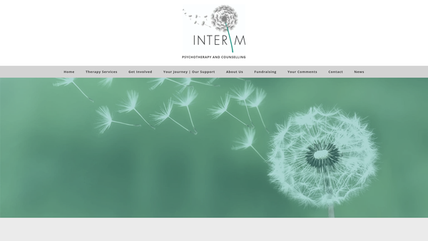Screenshot of the Interim website