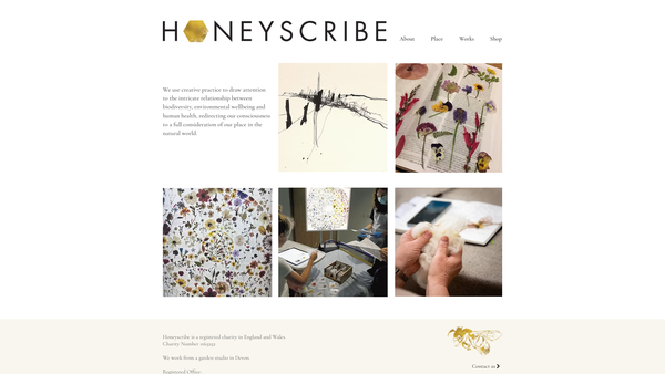 Screenshot of the Honeyscribe website