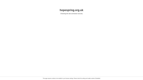Screenshot of the Hope Spring website