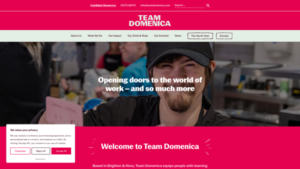 Screenshot of the Team Domenica website