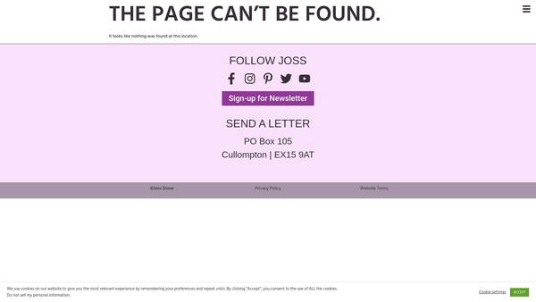 Screenshot of the The Joss Stone Foundation website